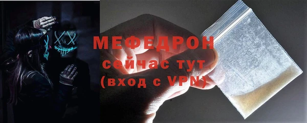 сатива Новодвинск