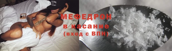 сатива Новодвинск