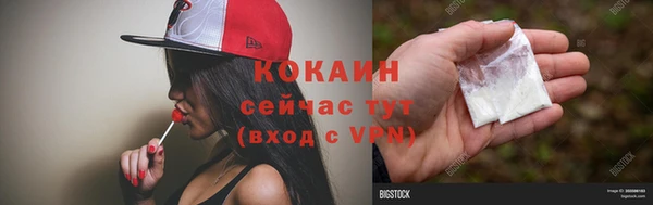 сатива Новодвинск