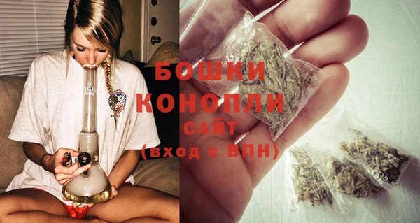 сатива Новодвинск