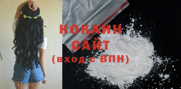 сатива Новодвинск