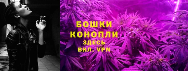 сатива Новодвинск