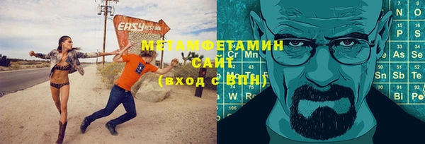 сатива Новодвинск