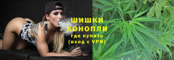 сатива Новодвинск