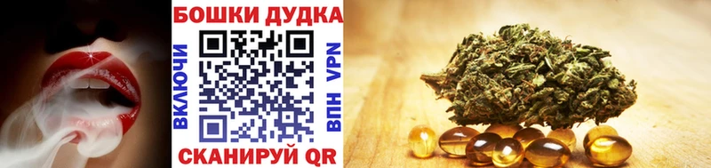 Бошки марихуана ГИДРОПОН  дарнет шоп  Катайск 